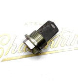 bouchon + crépine vidange bas moteur Triumph